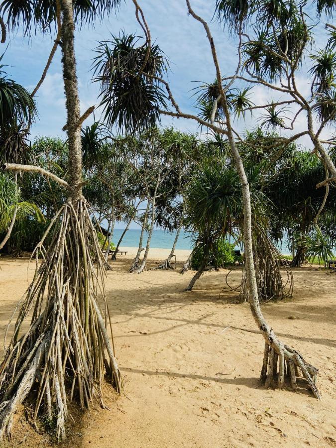 Sanjis The Seaside Cabanas Tangalle Ngoại thất bức ảnh