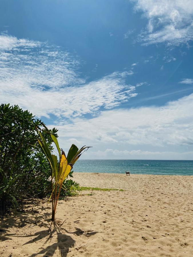 Sanjis The Seaside Cabanas Tangalle Ngoại thất bức ảnh